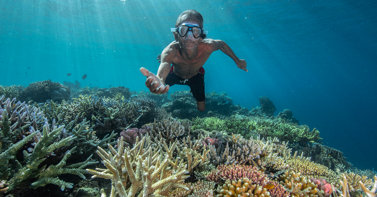 Coral Conservation récifs et des protection Guardian avec coralliens