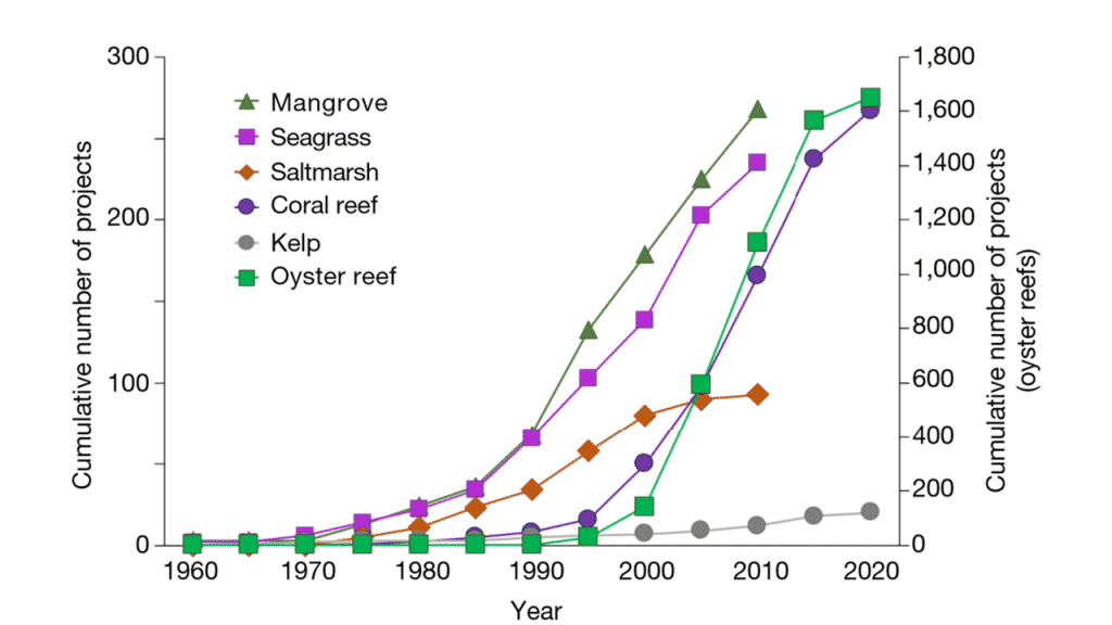 The challenge of rebuilding marine life by 2050 | Articles Coral Guardian