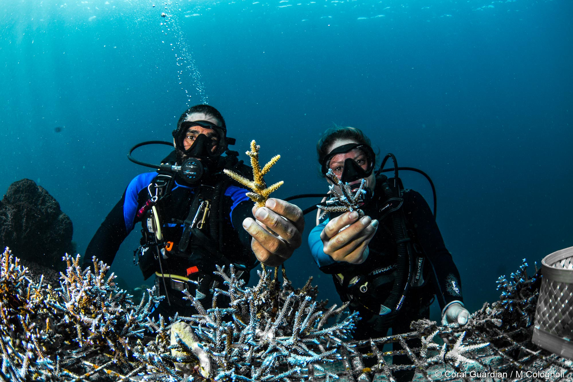Watches, Environmentalism, and The Ungalmorous SCUBA Dives of