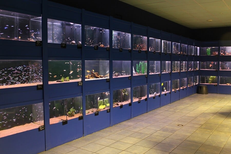 Commerce aquariums